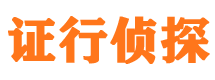 大宁市调查公司